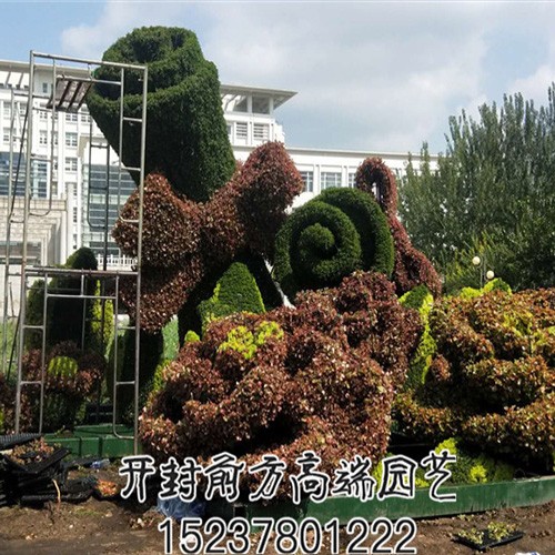 遼寧省交通高等?？茖W(xué)校五色草造型