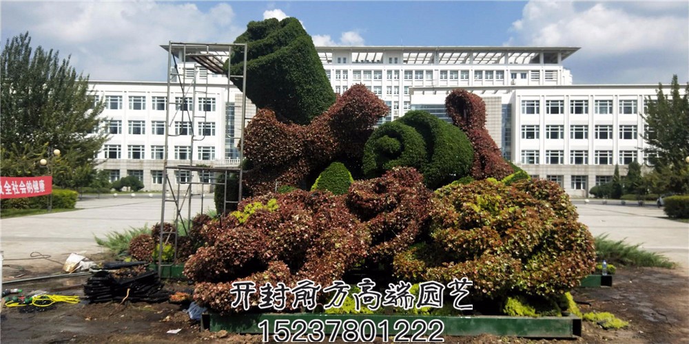 遼寧省交通高等?？茖W(xué)校五色草造型